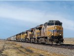 UP 5312